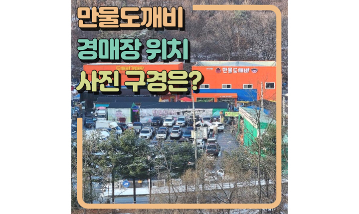 만물도깨비경매장위치-사진-썸네일