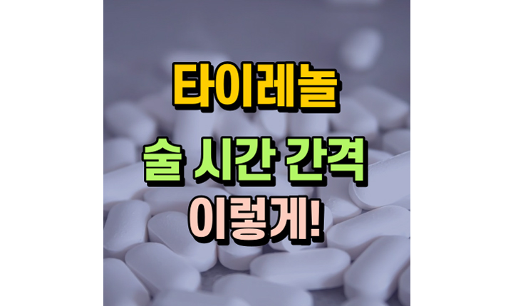 타이레놀-술-시간-간격-대표-썸네일