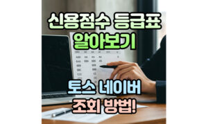 Read more about the article 신용점수 등급표! 토스점수표 확인방법 (feat.카카오, 네이버)