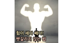 Read more about the article 힘이 세다 쎄다! 헷갈리지 않는 법