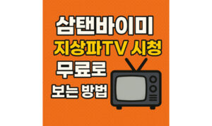 Read more about the article 삼탠바이미 지상파 TV 시청 무료 보는 방법