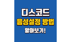 Read more about the article 디스코드 음성설정하는방법! 마이크 스피커 최적화 정리