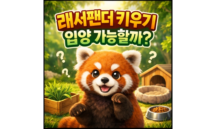 Read more about the article 래서팬더 키우기 렛서팬더 랫서판다 입양 가능할까?