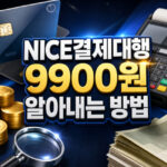 nice결제대행 9900원 통신판매 정보통신 아는법 대표 썸네일