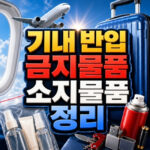 기내 반입 금지 물품 반드시 소지해야 할 물품 대표 썸네일