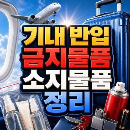 기내 반입 금지 물품 반드시 소지해야 할 물품 썸네일