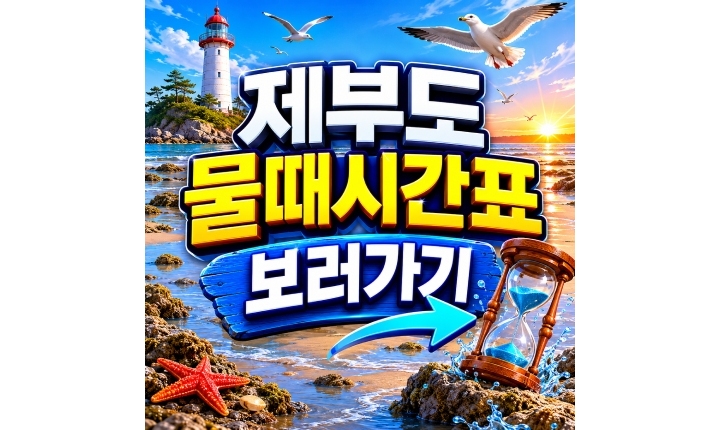 Read more about the article 제부도 물때시간표 바닷길 개방 시간 확인방법