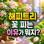 해피트리 꽃 피는 이유 반복 개화 원인 정리 대표 썸네일
